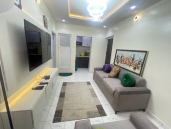 Beautiful 1 Bedroom Apartment, Saint Agnes, Yaba, Lagos, Flat / Apartment Short Let