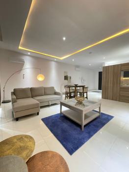 Luxury 2 Bedroom Apartment, Lekki Phase 1, Lekki, Lagos, Flat / Apartment Short Let