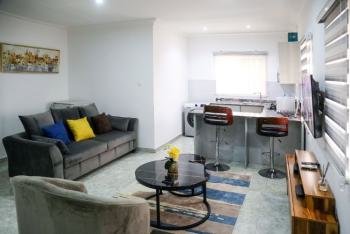 Beautiful 1 Bedroom Apartment in a Serene Environment, Parkview Estate, Ikoyi, Lagos, Mini Flat (room and Parlour) Short Let
