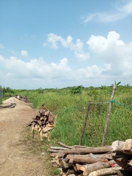 Land, Donyx Off Orudu Igando, Eleko, Ibeju Lekki, Lagos, Mixed-use Land for Sale