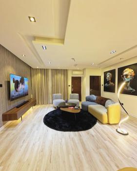 Beautiful One Bedroom Apartment, Wuse 2, Abuja, Mini Flat (room and Parlour) Short Let