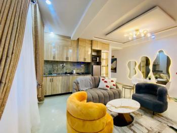 Deluxe 1 Bedroom Apartment, Ikate, Lekki, Lagos, Flat / Apartment Short Let
