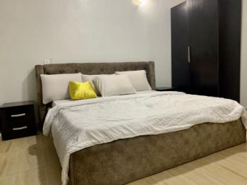 Fully Furnished 2 Bedroom Apartment, Onike, Yaba, Lagos, Flat / Apartment for Rent