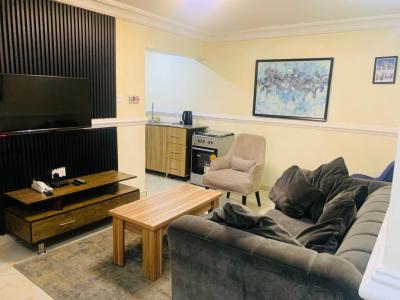1 Bedroom Flat with Excellent View and Great Amenities., 153, Esther Bali Street Off Ahmadu Bello Way. Behind Vichi Gate Hotel., Mabushi, Abuja, Flat / Apartment Short Let