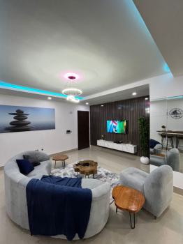 Our New Spacious Luxurious 1 Bedroom Apartment, Taiye Olowo Street, Lekki Phase 1, Lekki, Lagos, Mini Flat (room and Parlour) Short Let