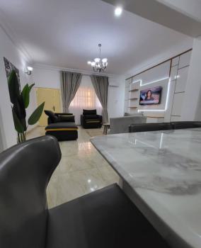 Luxury and Fully Furnished 2 Bedroom Apartment, Asokoro District, Abuja, Flat / Apartment for Rent