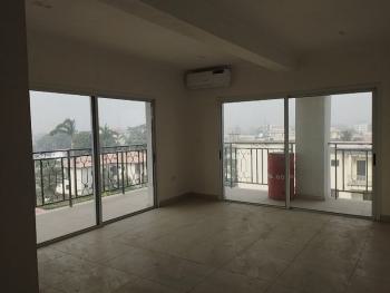 Newly Built 3 Bedroom Apartment, Old Ikoyi, Ikoyi, Lagos, Flat / Apartment for Rent