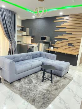 Book This (1)one Bedroom Luxurious Apartment with Amazing Amenities, Ikate, Lekki, Lagos, Flat / Apartment Short Let