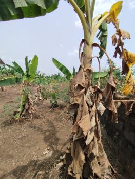 a Strategically Located Plots of Land Measuring 1400sqms, Shelter Afrique Estate Extension, Uyo, Akwa Ibom, Residential Land for Sale