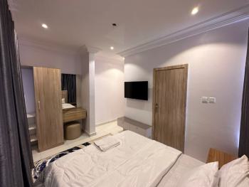 Luxury 2 Bedrooms Flat, Chevron Drive, Lekki, Lagos, Flat / Apartment Short Let