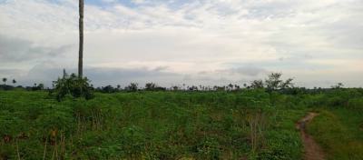 The Most Cheapest Farmland, Green Wealth Farm Land Is 10 Minutes Drive From Epe Toll Gate, Epe, Lagos, Land for Sale