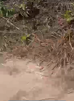 Land  900 Plots, Abala Nkam, Aba, Abia, Residential Land for Sale