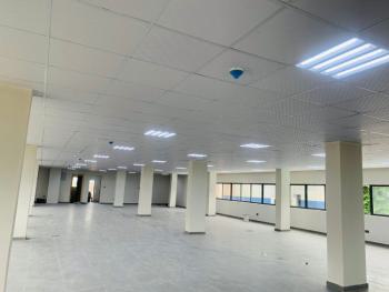 Prime Commercial Space, Bishop Oluwole Street, Victoria Island (vi), Lagos, Office Space for Rent
