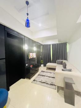 Cozy 1bedroom Short Stay Apartment, Ikoyi, Lagos, Mini Flat (room and Parlour) Short Let