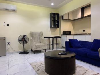 Stunning One Bedroom, No. 5 Lafia Close, Area 8, Garki, Abuja, Mini Flat (room and Parlour) Short Let