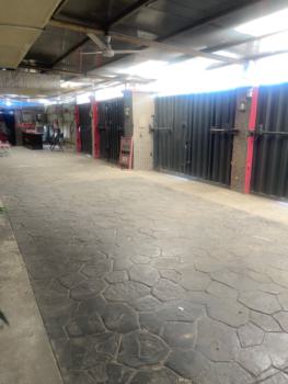 17 Room Fully Furnished Serviced Apartment, Bode Thomas, Surulere, Lagos, Hotel / Guest House for Rent