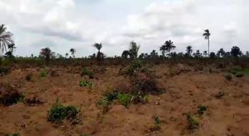 Affordable and Accessible Road Network, Charisma Garden Estate, Ogbor Hills, Aba, Abia, Residential Land for Sale