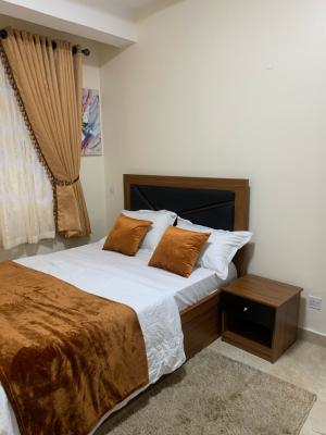 Fully Furnished 2 Bedroom Flat, Victoria Island (vi), Lagos, Flat / Apartment for Rent