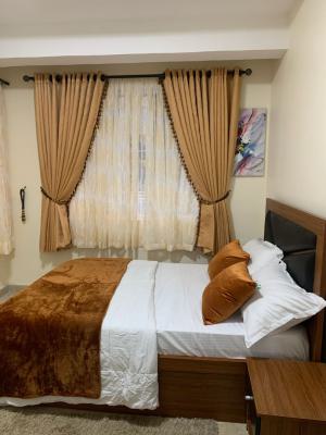 Fully Furnished 2 Bedrooms Flat, Victoria Island (vi), Lagos, Flat / Apartment for Rent