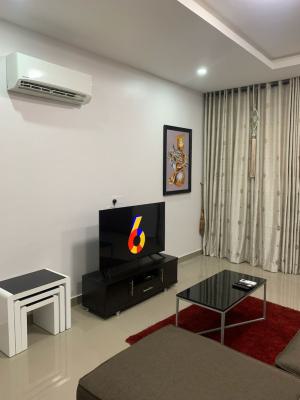 Fully Furnished 1 Bedroom Flat with Large Penthouse, Off Palace Road, Oniru, Victoria Island (vi), Lagos, Mini Flat (room and Parlour) for Rent