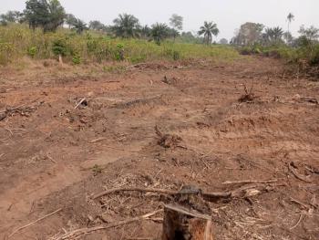 Land with Admirable Topography and Strategic Location, Crystal Palace Estate, Epe, Lagos, Commercial Land for Sale