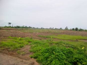 Suitable Land Investment, Palm County Estate Abeokuta -  Expressway Omi Ado, Ibadan, Oyo, Mixed-use Land for Sale