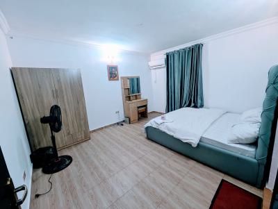 Cozy and Spacious Mini Flat with 24 Hours Power + Wifi, Oko-oba, Agege, Lagos, Mini Flat (room and Parlour) Short Let