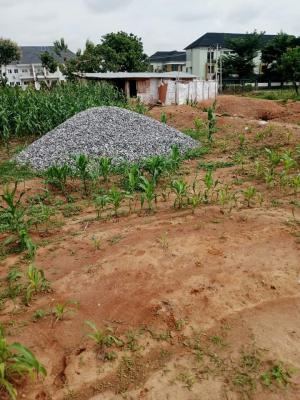 Very Strategic Property, Premier Layout, Enugu, Enugu, Land for Sale