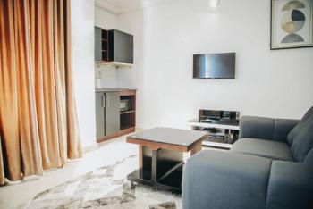 Fully Furnished Luxury Room & Parlour, Utako, Abuja, Mini Flat (room and Parlour) Short Let