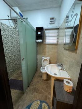 Luxury 1 Bedroom Apartment, Katampe (main), Katampe, Abuja, Mini Flat (room and Parlour) Short Let