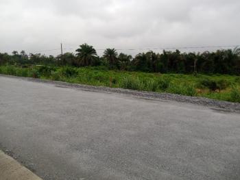 6 Acres of Land Facing Major Road, Ala Ijebu Road, Ijebu Ode, Ogun, Mixed-use Land for Sale
