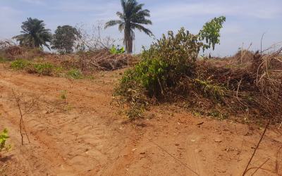 C of O Plots and Acres of Land Available, Ogwashi-uku, Asaba, Delta, Residential Land for Sale