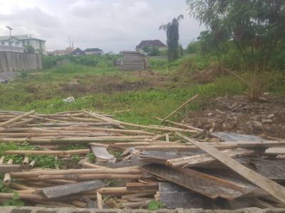 Prime Plots of Land, Facing Expressway Chevron Bus Stop, Lekki, Lagos, Commercial Land for Rent