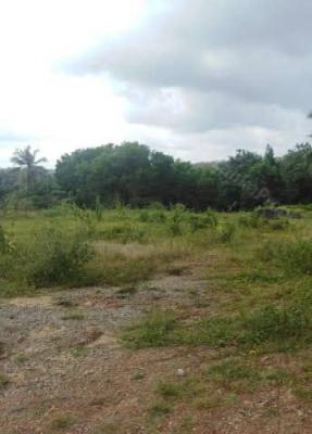 Prime Plots of Land, Facing Expressway Chevron Bus Stop, Lekki, Lagos, Commercial Land for Rent