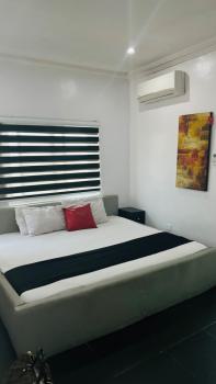 One Bedroom Apartment, Freedom Way, Lekki, Lagos, Mini Flat (room and Parlour) Short Let