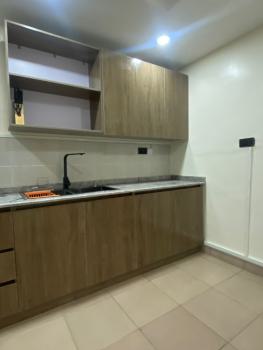 Furnished and Serviced 2 Bedroom Available, Asokoro District, Abuja, Flat / Apartment for Rent