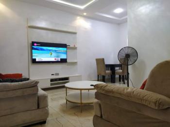 Lovely One Bedroom in a Serene Environment, Ogba, Ikeja, Lagos, Mini Flat (room and Parlour) Short Let