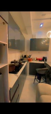 Fully Serviced 1bedroom Apartment (miniflat) Available in Osapa Londo, Osapa London, Osapa, Lekki, Lagos, Mini Flat (room and Parlour) for Rent