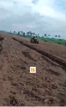 Farm Land, Isihun, After International Brewery, Mowe Ofada, Ogun, Commercial Land for Sale