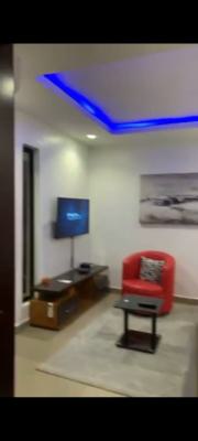 Fully Serviced and Furnished 1bedroom Apartment (mini Flat) with a Ope, Off Ligali Ayorinde, Victoria Island (vi), Lagos, Mini Flat (room and Parlour) for Rent