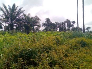 a Build and Pack in Land with Good Access Road and Good Neighbourhood, Army Range, Eneka, Port Harcourt, Rivers, Residential Land for Sale