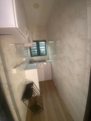 Luxuriously Mini Flat / Apartment with Excellent Finishing, No. 1b, Segun Street, Abijo, Lekki, Lagos, Mini Flat (room and Parlour) for Rent