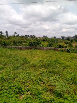 40 Plot of Land Directly on The Major Road, Army Range, Eneka, Port Harcourt, Rivers, Mixed-use Land for Sale