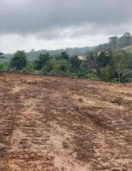 Buy and Build Land with C of O, Blossom Estate, Enugu, Enugu, Land for Sale