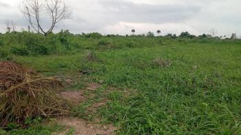 100% Dry Land, Aviance Gardens Estate, Epe, Lagos, Residential Land for Sale
