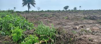 Cheapest Buy and Build Land in a Built Up Location, Epe, Lagos, Land for Sale