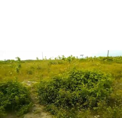 12 Acres of Water Front Land, Akodo, Ibeju Lekki, Lagos, Commercial Land for Sale