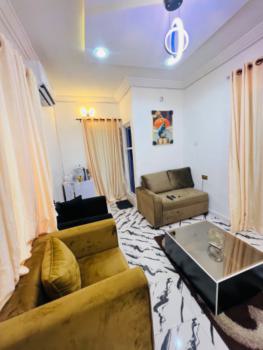 Luxury One Bedrooms with Complete Home Amenities, Palmgrove, Shomolu, Lagos, Mini Flat (room and Parlour) Short Let