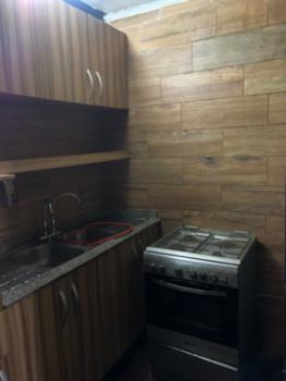 Executives Mini Flat, Bode Thomas, Surulere, Lagos, Mini Flat (room and Parlour) for Rent