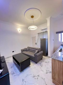 Furnished 1 Bedroom Apartment, Lekki Phase 1, Lekki, Lagos, Mini Flat (room and Parlour) for Rent